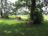 Parkbank im Park unter der Eiche